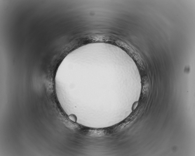 X0000097590469200803211640