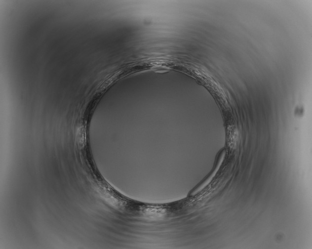 X0000097590471200803211640