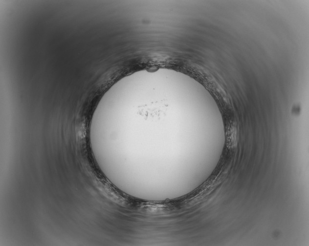 X0000097590472200803211640