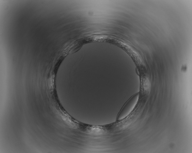 X0000097590475200803211640