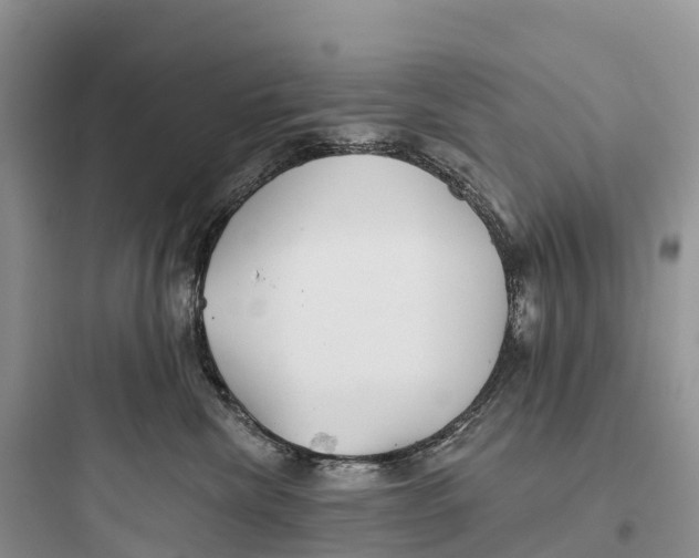 X0000097590476200803211640