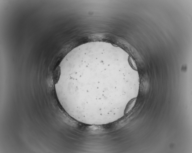 X0000097590477200803211640