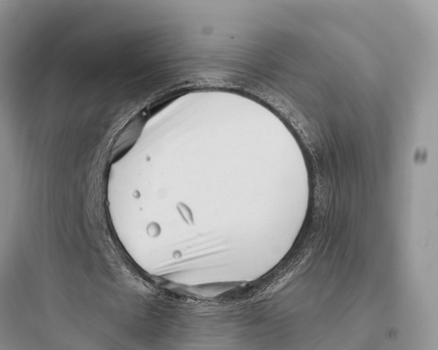 X0000097590481200803211640