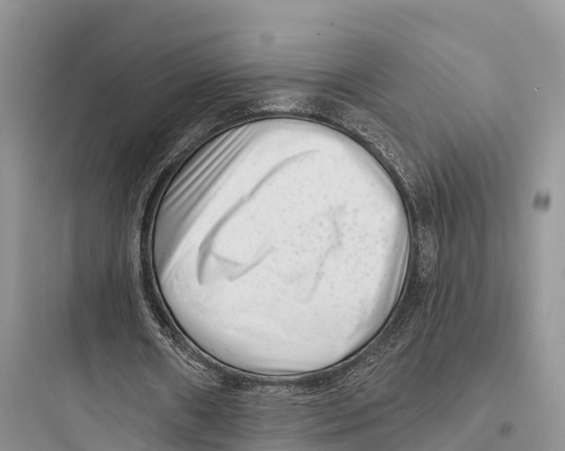 X0000097590482200803211640