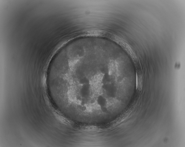 X0000097590483200803211640