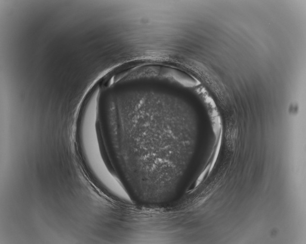 X0000097590484200803211640