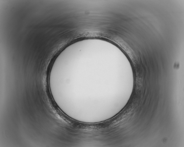 X0000097590485200803211640