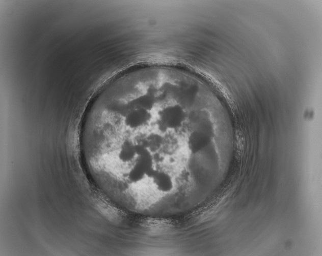 X0000097590487200803211640