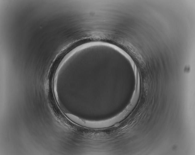 X0000097590488200803211640