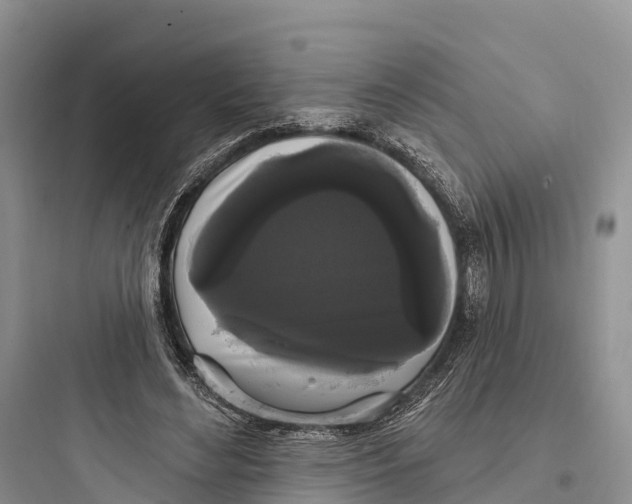 X0000097590492200803211640