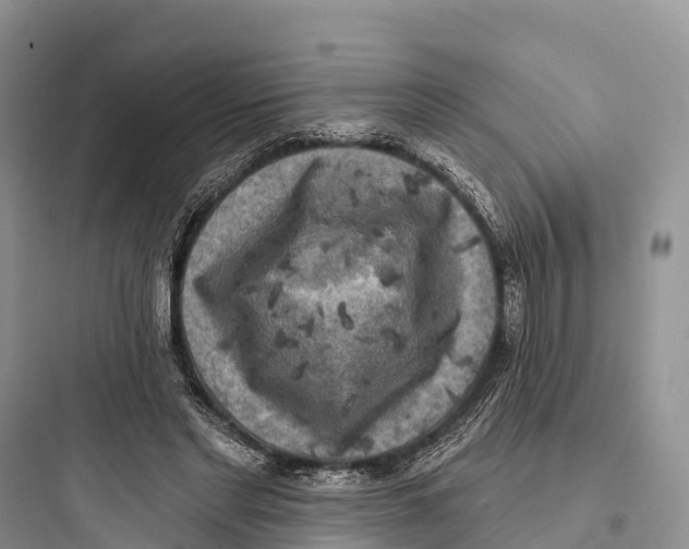 X0000097590493200803211640