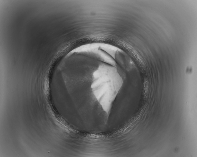 X0000097590494200803211640