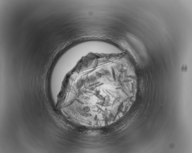 X0000097590495200803211640