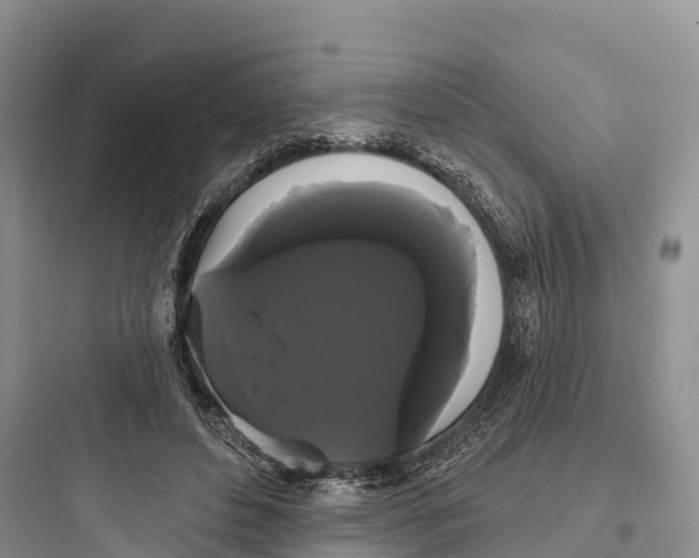 X0000097590496200803211640