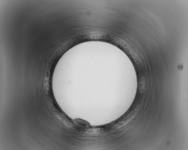 X0000097590497200803211640