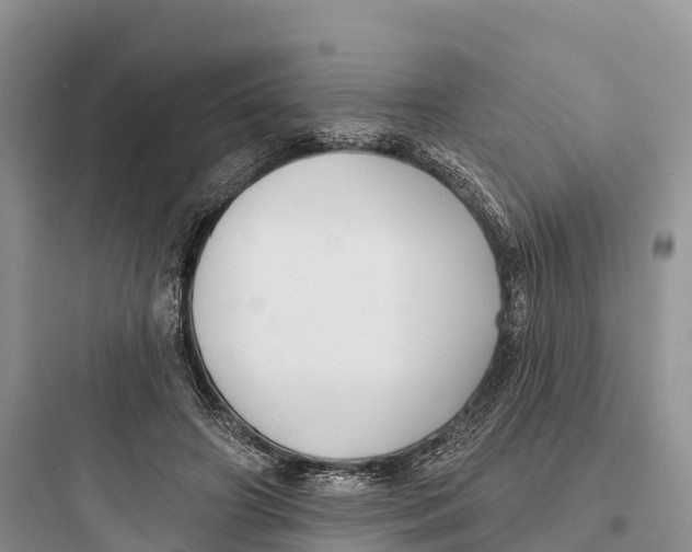 X0000097590498200803211640