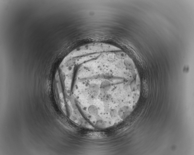 X0000097590499200803211640