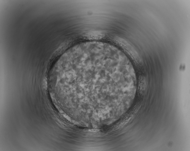 X0000097590501200803211640