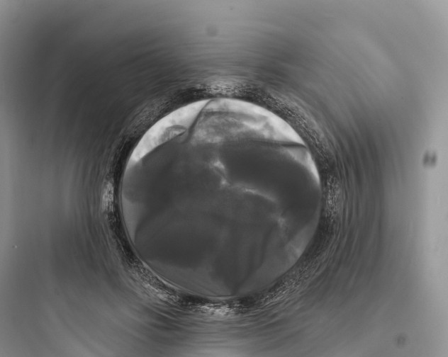 X0000097590502200803211640