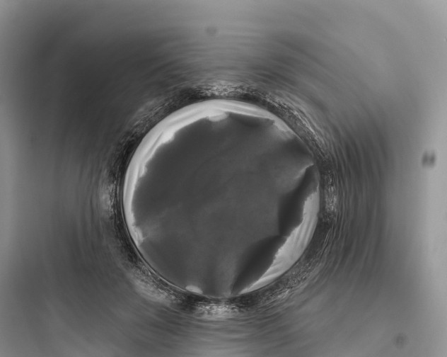 X0000097590503200803211639