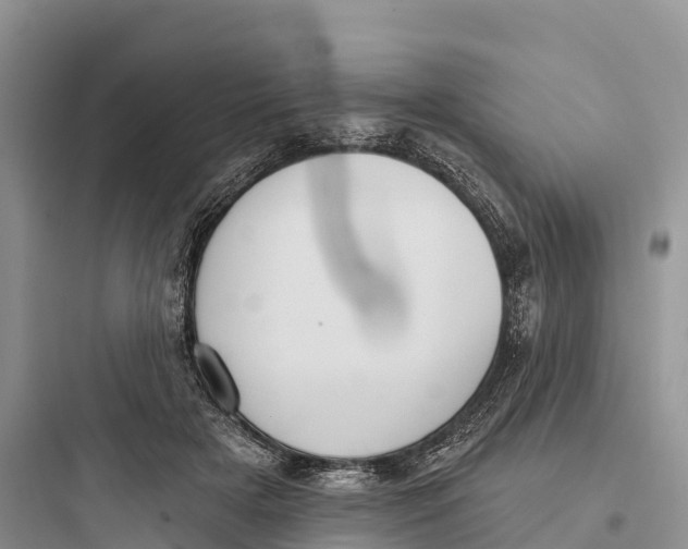 X0000097590505200803211639