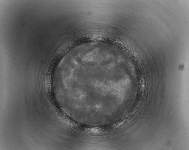 X0000097590506200803211639