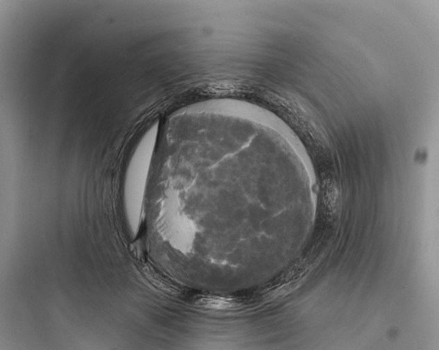 X0000097590507200803211639