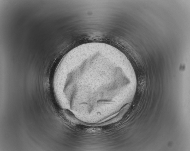 X0000097590508200803211639