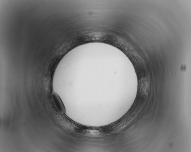 X0000097590509200803211639