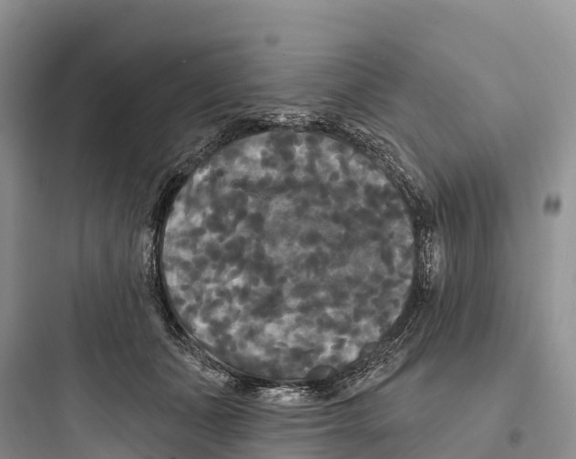 X0000097590511200803211639