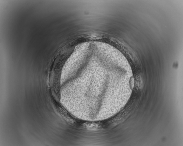 X0000097590512200803211639