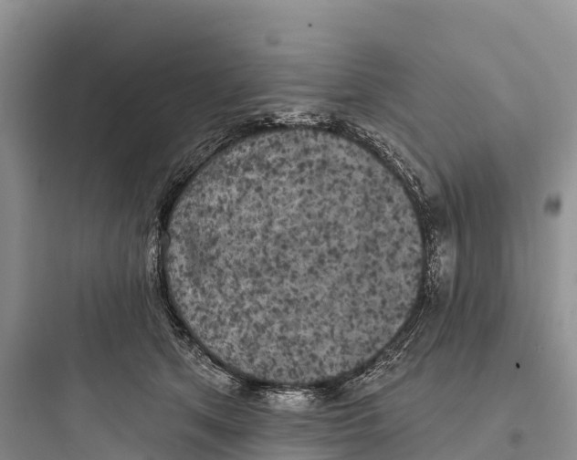 X0000097590513200803211639