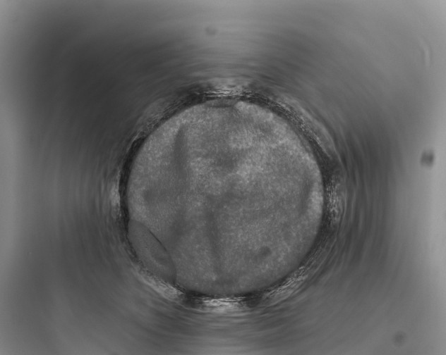 X0000097590516200803211639