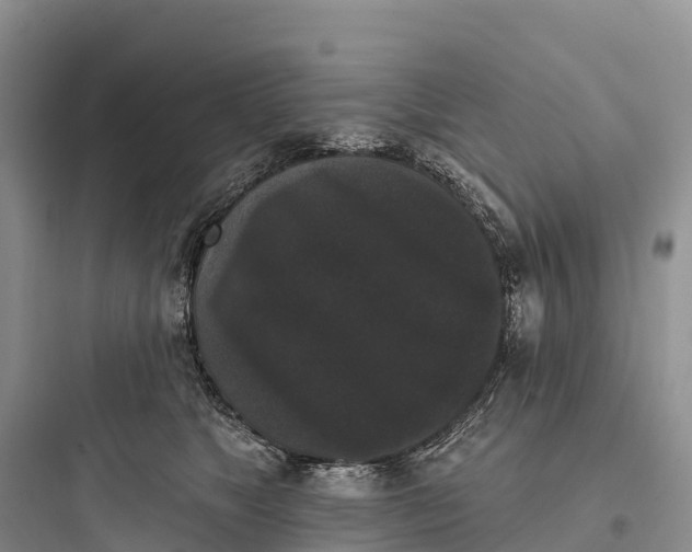 X0000097590517200803211639