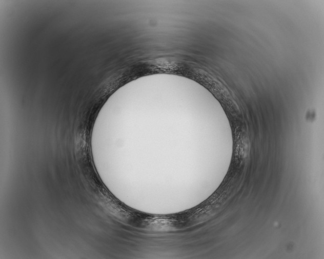 X0000097590518200803211639