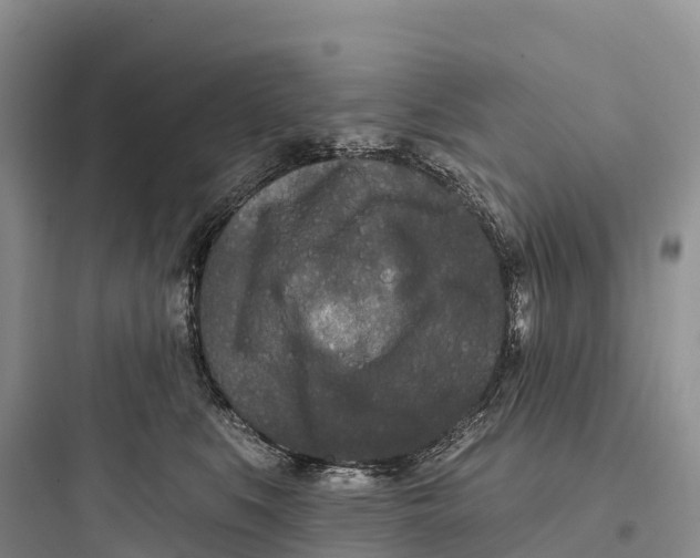 X0000097590519200803211639