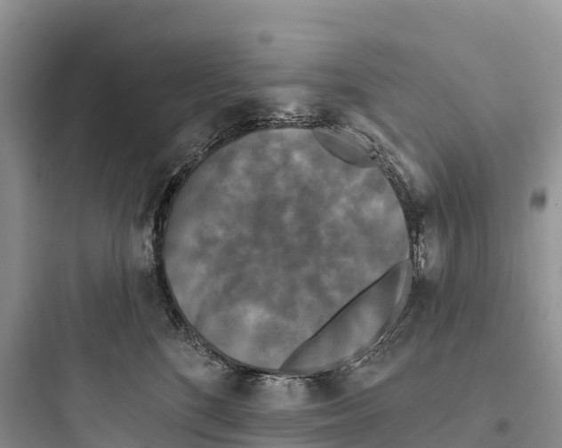 X0000097590520200803211639