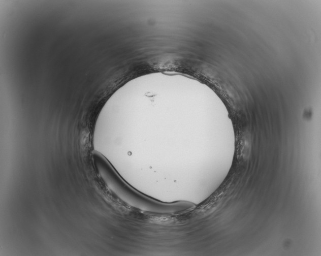 X0000097590521200803211639