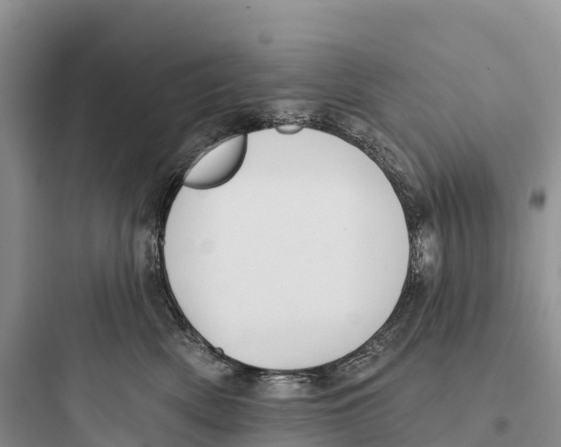 X0000097590522200803211639