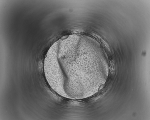 X0000097590523200803211639