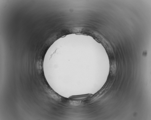 X0000097590525200803211639