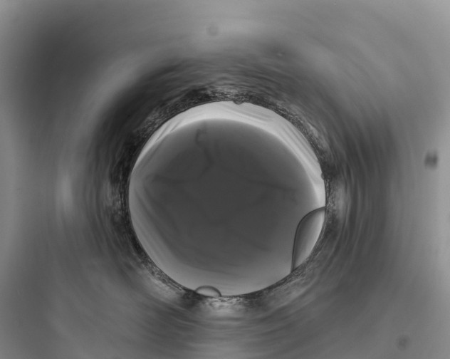 X0000097590526200803211639