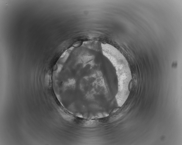 X0000097590527200803211639