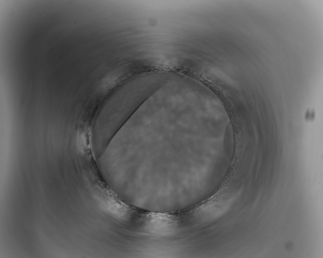 X0000097590528200803211639