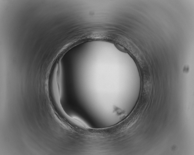 X0000097590530200803211639