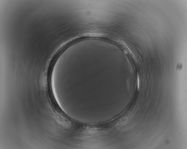 X0000097590531200803211639