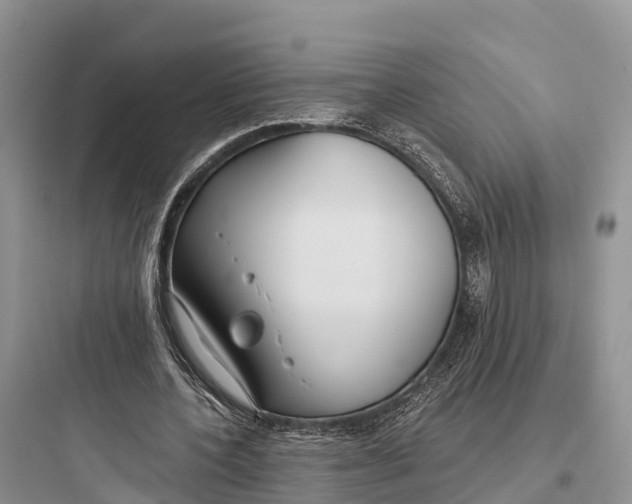 X0000097590532200803211639