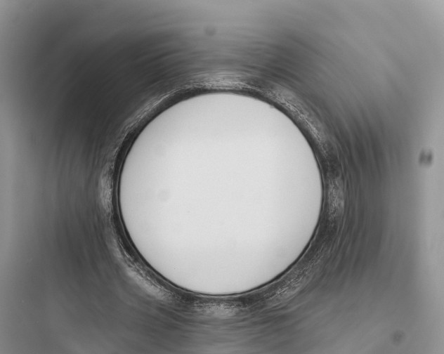 X0000097590533200803211639