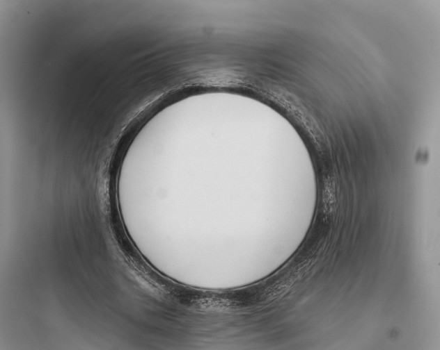 X0000097590535200803211639