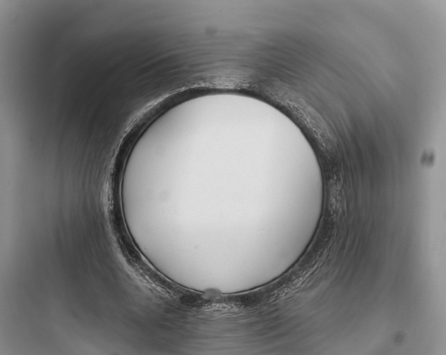 X0000097590536200803211639